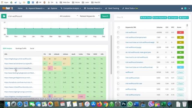 How to Rank New Website on Google First Page - SEO Easy Tutorial смотреть онлайн