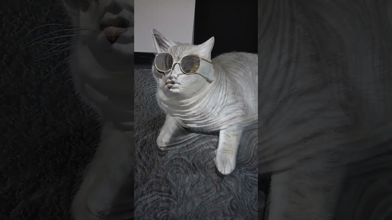 Кого ты спасешь? #shorts #подписка #коттитар #выбери #котики #лайк #котята #комент #тренд смотреть онлайн