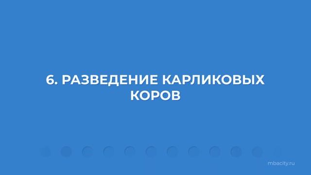 Курс обучения 