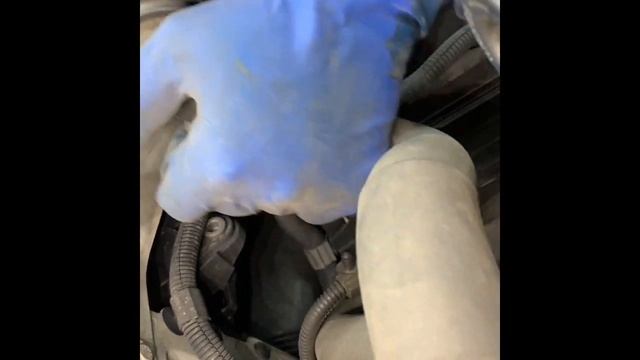 Porsche Cayenne 2008 3.6 Intake Removal смотреть онлайн