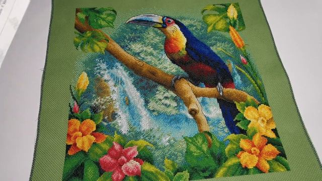 @PANNA У истока Амазонки ! Готовая работа !