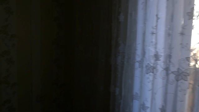 Белореченск срочно/качественный дом 80кв.м,цена 3 000 000 смотреть онлайн