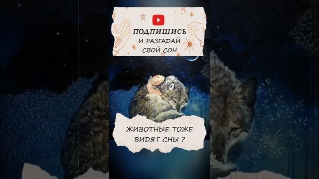 Снятся ли сны животным? смотреть онлайн