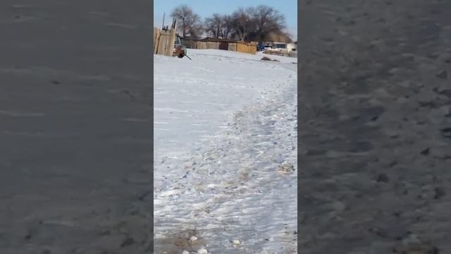 Самодельный снегоход из подручных материалов с мотором ЗИД Часть 2 смотреть онлайн