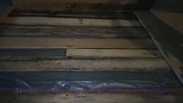 Что бы да помыть? Устраняем плесень