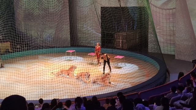 4K Show Time!Shanghai Circus World 2021 Happy Circus Show 上海马戏城之欢乐马戏秀 смотреть онлайн