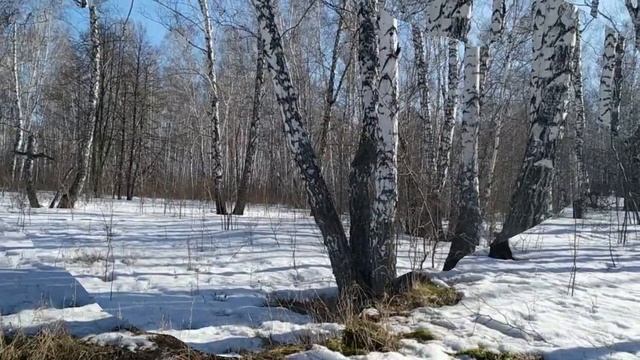 "Первые проталины" Олег Минаков смотреть онлайн