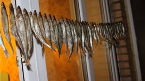 Как правильно СУШИТЬ РЫБУ в домашних условиях