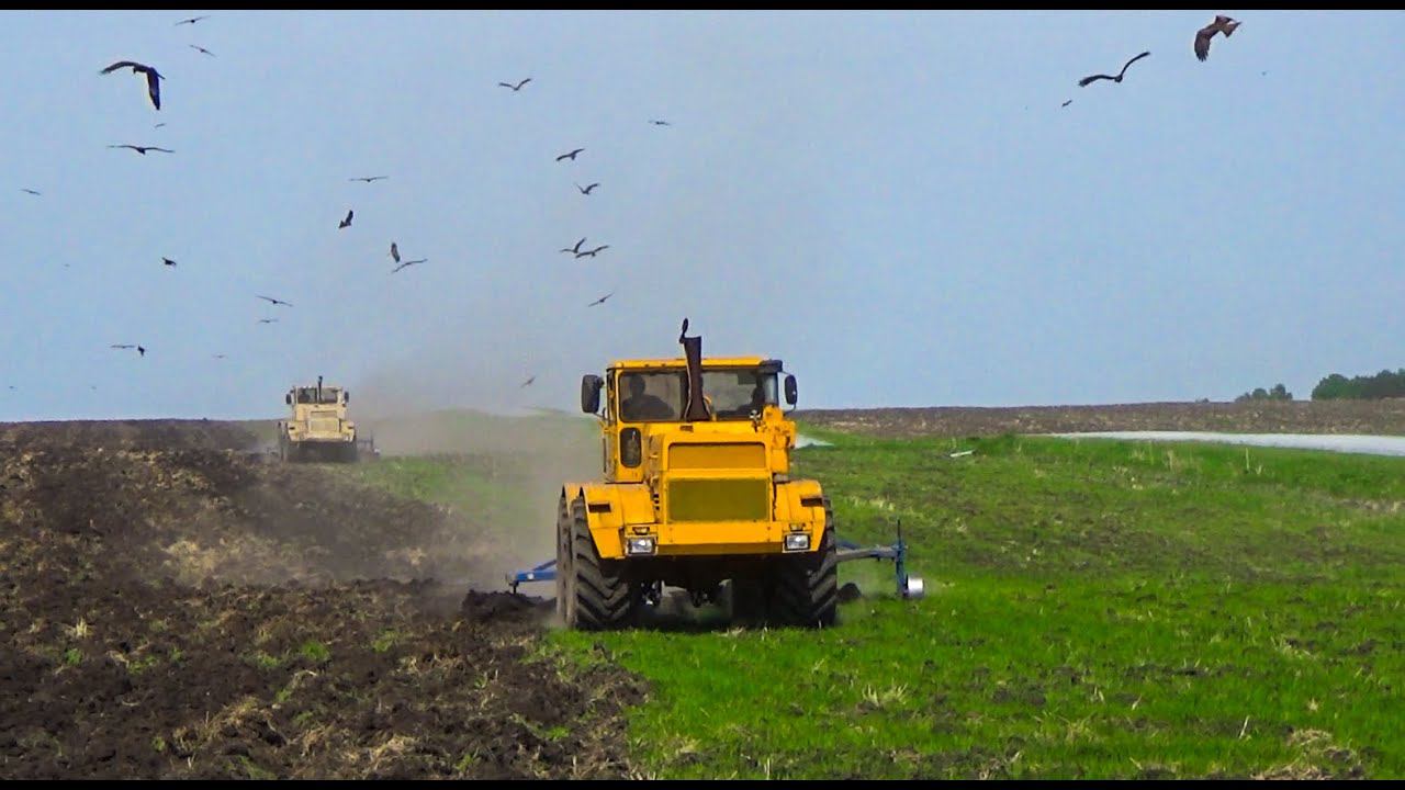 Старые кировцы К 701 с новыми скоростными плугами ПСКУ 8 на обработке полей! смотреть онлайн
