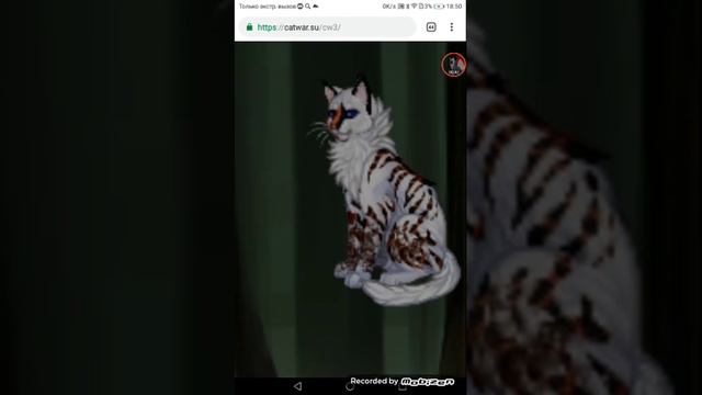 С Расколатай смотреть онлайн