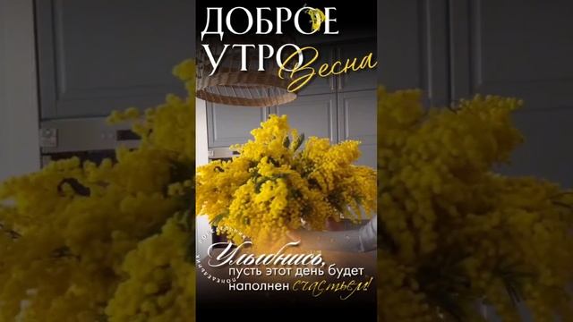 Доброеутро смотреть онлайн