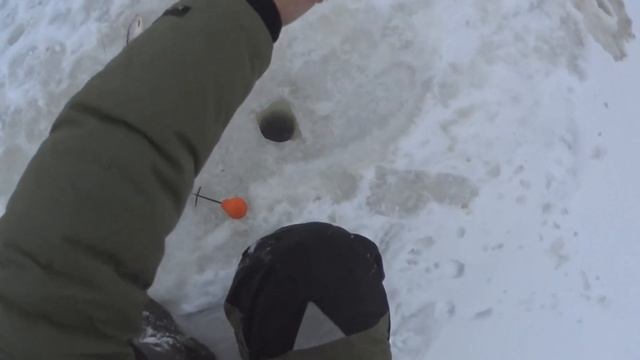 Как и на что ловить Ельца зимой в глухозимье? Способы ловли, насадки, снасти. смотреть онлайн