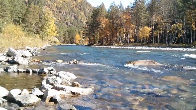 Божественное исцеление от поликистоза почек 4 часть Сытин Г.Н. смотреть онлайн