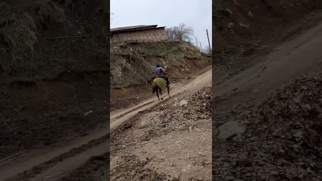 Мехриддин Рахматзода. смотреть онлайн