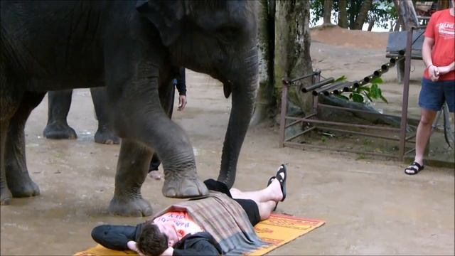 Слоны и люди смотреть онлайн