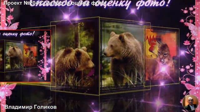 Проект №204 Спасибо за оценку фото! смотреть онлайн
