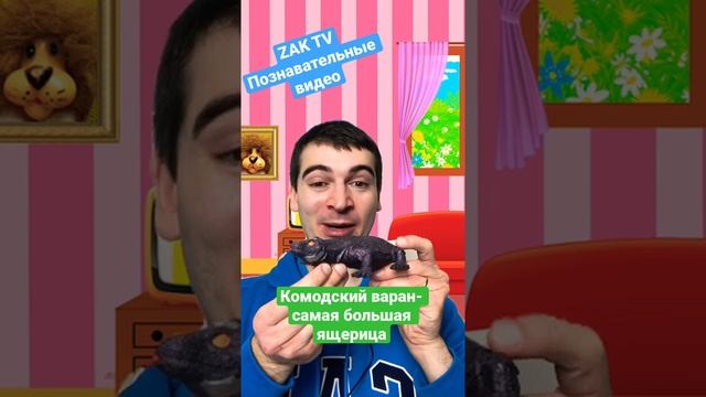 Комодский варан - самая большая ящерица смотреть онлайн
