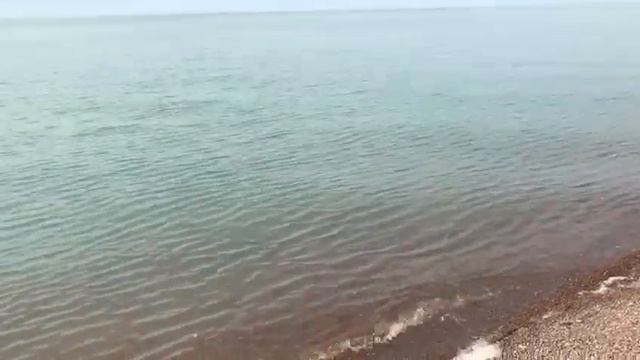 Рыбалка Капчагайское водохранилище 2017 год насосные смотреть онлайн
