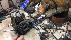 #Триммер«Штиль FS-250«Покосили»,«попилили«и прихлопнули лопатой.