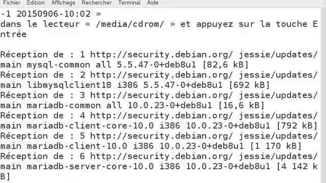 Video 8 Debian 8: configuration du serveur de BD avec mariadb смотреть онлайн