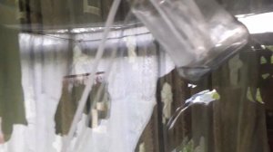 Насос из БОЧКИ. Рабочая модель.