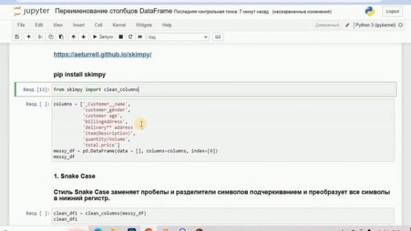 Изменение имен столбцов DataFrame. RENAME, REPLACE + SKIMPY (clean_columns)