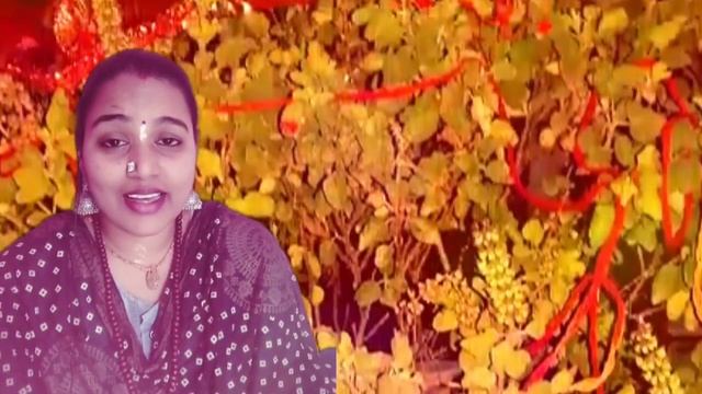 तुलसी जी की आरती ।जय तुलसी माता। नमो नमो तुलसी मैया।Jai Tulsi Mata #तुलसी #bhakti #aarti #yt#bhajan смотреть онлайн