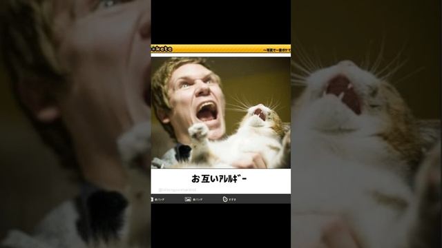 мемы на японском языке №7 (японский язык по мемам)