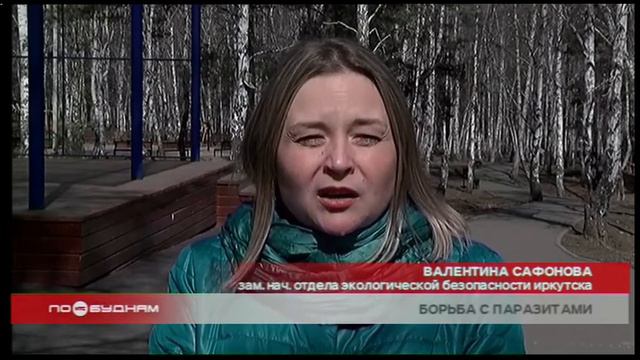 Обработка территорий от клещей началась в Иркутске смотреть онлайн
