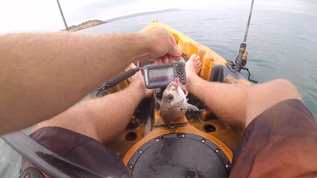 Port Phillip Bay - Soft Plastics fishing - snapper, flathead, salmon смотреть онлайн