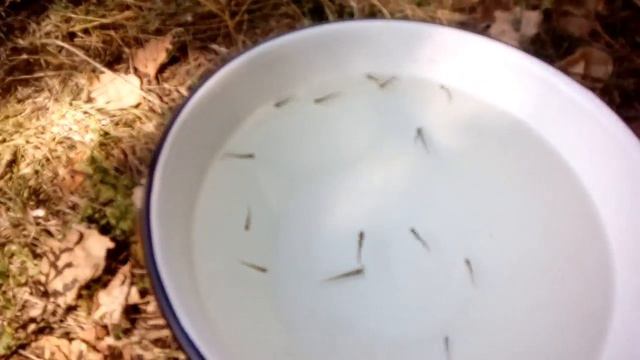 Моя последняя рыбалка смотреть онлайн