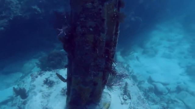 Артефакт На Дне Океана Вступающий В Контакт смотреть онлайн