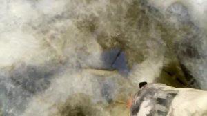 Зимняя палатка helios