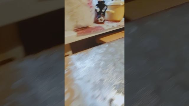 Ой-ёй-ёй! теперь ЗОЛОТАЯ!!! Чем тебе старая скатерка-то не угодила?! (Какую скатерть купить) смотреть онлайн