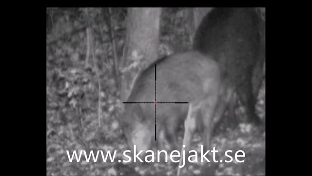 Pulsar Digisight N870 LRF смотреть онлайн