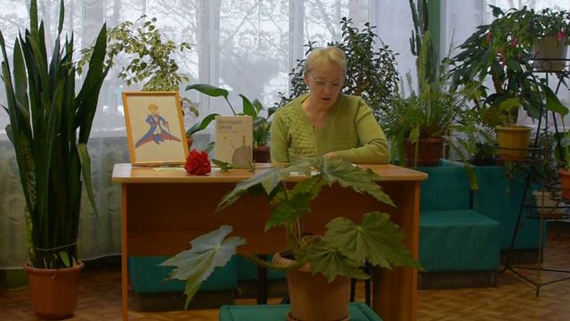 Страна читающая - Татьяна Телятникова читает произведение "Маленький принц" Антуана де Сент-Экзюпер смотреть онлайн