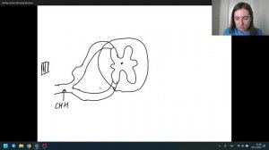 Анатомия | Как понять строение рефлекторной дуги?