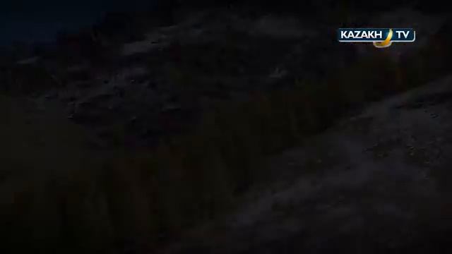 охота в Зайсане смотреть онлайн