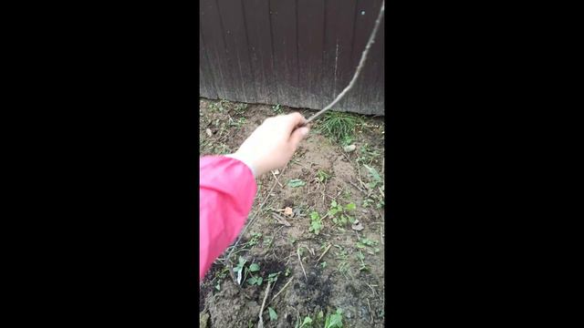смородина (ПОДРОЩЕННАЯ) смотреть онлайн