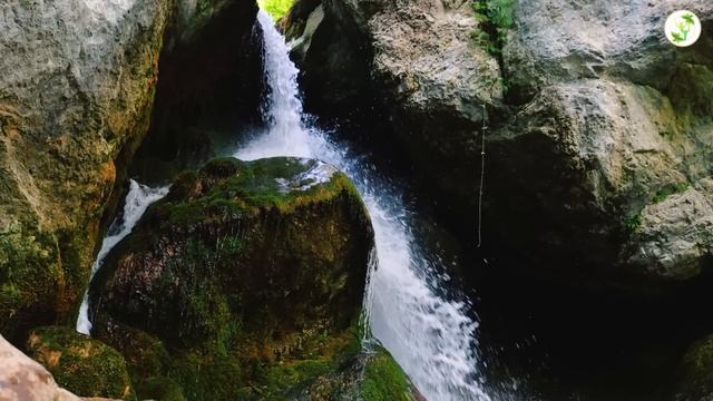 SOFT MUSIC FOR DEEP SLEEPING ? Instantly Fall Into Sleep, No More Insomnia, Stress & Anxiety Relief