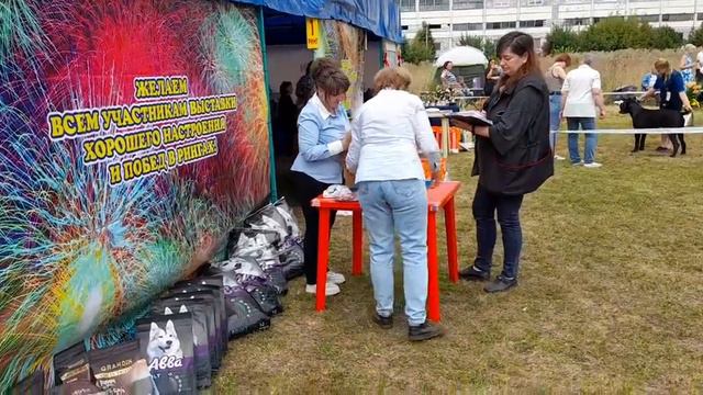 Выставка собак. Иваново. 20.08.2023. Эксперт Е.Н.Кудрявцева смотреть онлайн