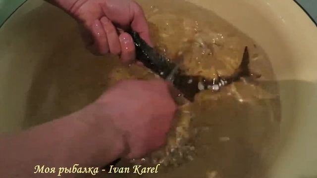 Как почистить чешую ( моя версия )?Чистая кухня ? How to clean a fish ( my version )clean kitchen смотреть онлайн