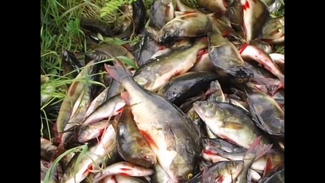 Начало моих приключений или с чего все началось смотреть онлайн