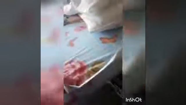 Отзыв о матрасе Димакс МЛ Лайт-6 смотреть онлайн