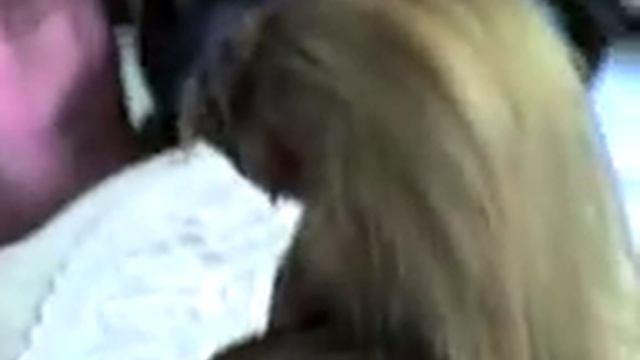 таджикистан нашли в кулябе змей человеческий голова смотреть онлайн
