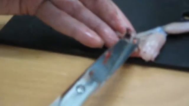 Синапс - утомление смотреть онлайн