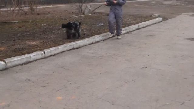 Мейджик 2 смотреть онлайн