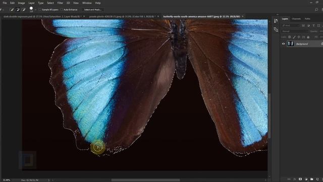 Dual Tone Double Exposure | Photoshop Tutorial смотреть онлайн
