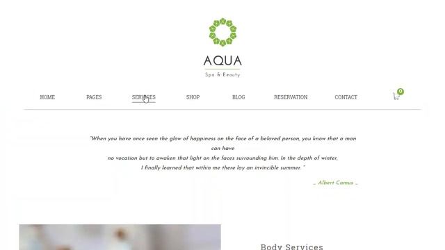 Aqua - Spa and Beauty Responsive WooCommerce WordPress Theme смотреть онлайн