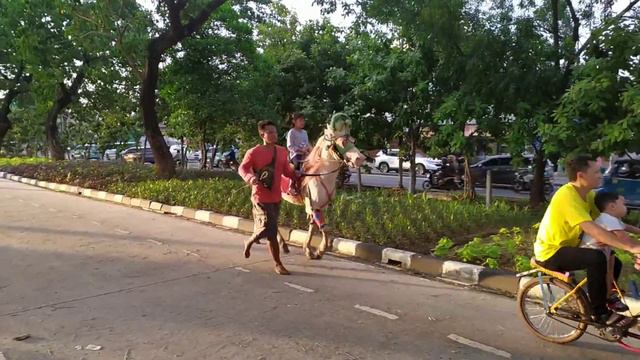 Horseback🔴beautiful horse riding tour || a vacation spot for families смотреть онлайн